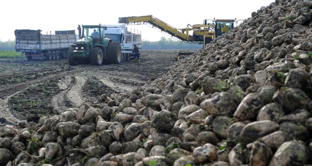 Превозници репе ушли у штрајк